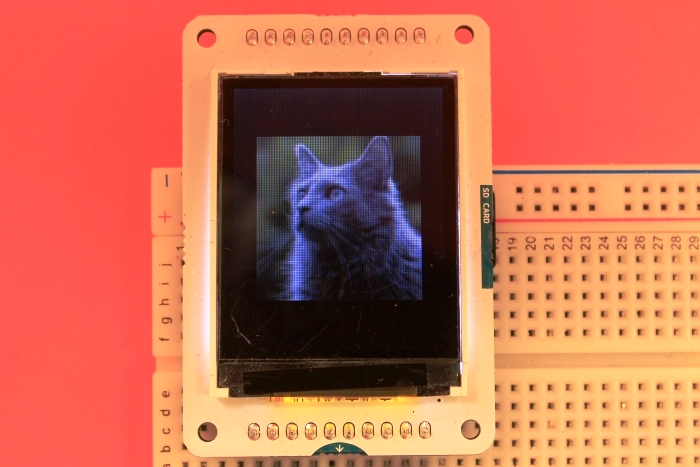 Cat screen